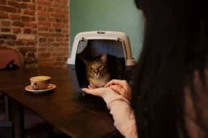 A woman gently offers her hand to a calm cat inside a carrier on a wooden table, with a latte cup nearby, set against a brick wall background.