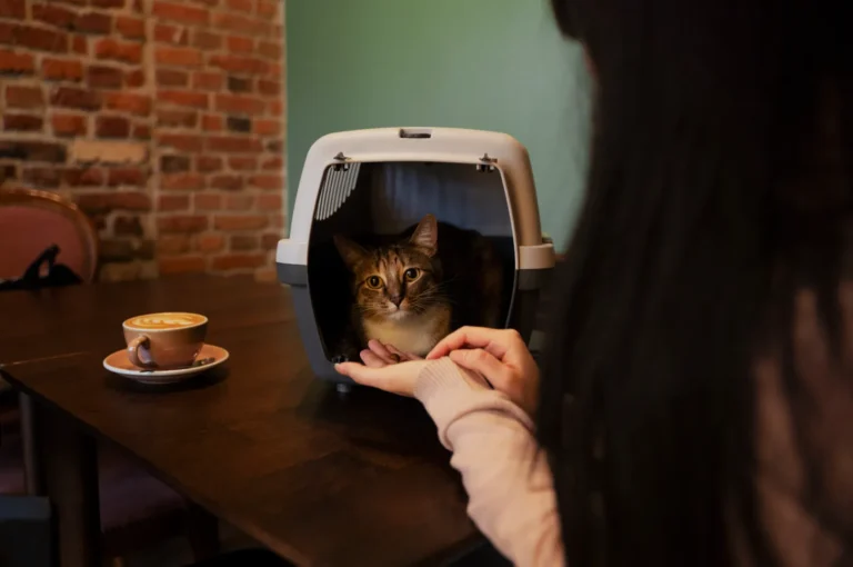 A woman gently offers her hand to a calm cat inside a carrier on a wooden table, with a latte cup nearby, set against a brick wall background.