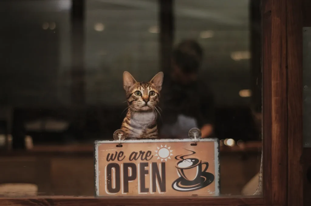 A brown tabby cat sits behind a "We are open" sign in a café window. The cozy scene conveys a welcoming and charming atmosphere.