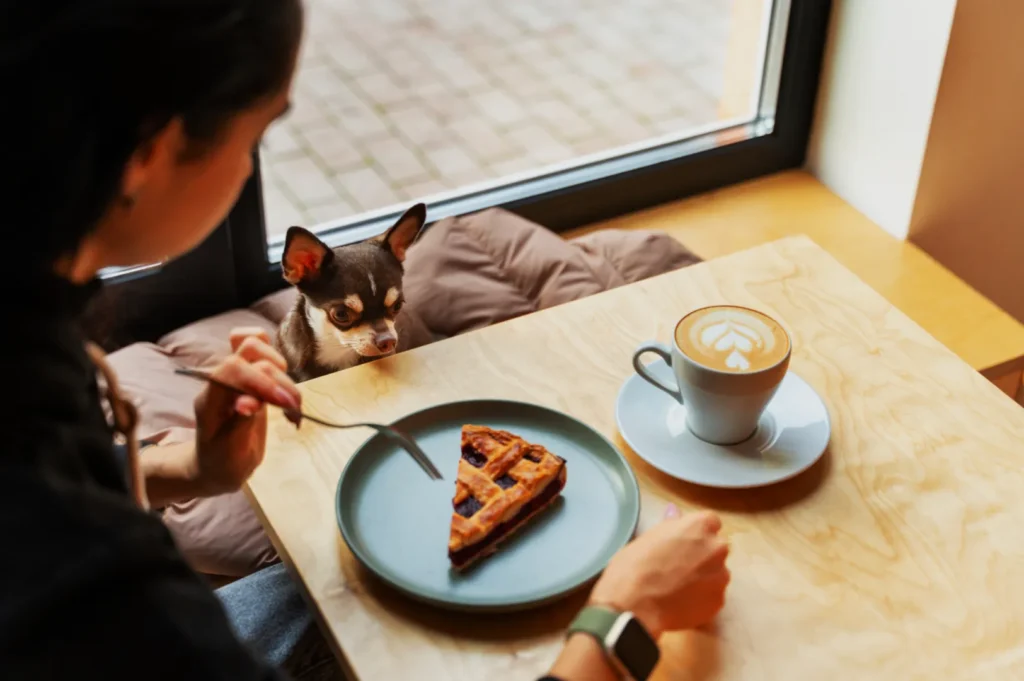 A person enjoys a waffle and cappuccino at a wooden table by a window. A small dog curiously peers at the food, adding a cozy, inviting atmosphere.