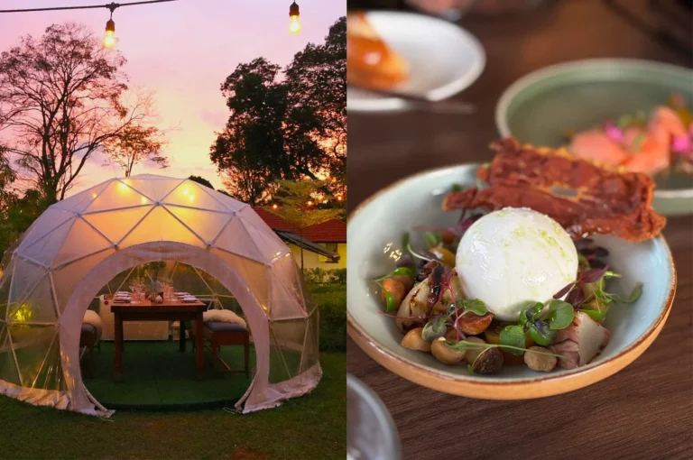 A romantic private dining dome in a garden setting at sunset, alongside a fresh burrata cheese salad with heirloom tomatoes and prosciutto.