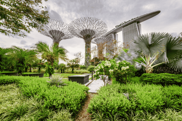Singapore al fresco dining scene with lush greenery framing the iconic Marina Bay Sands, offering outdoor seating and alfresco dining options from rooftop bars perfect for corporate events to the Open Farm Community and best rooftop bars for private events. A biophilic dining experience stretches from Canopy Changi Village to Marina Bay, where signature cocktails are enjoyed against the Singapore skyline. Nearby, Garden Wing and Botanic Gardens inspire family‑friendly spots with kids meals, while Waterfall Ristorante Italiano at Shangri La Hotel tempts taste buds with stunning views. The perfect venue for western classics on Sentosa Island or panoramic views with furry friends at Bishan Park, each restaurant suits a special occasion with clear opening hours. From The Coastal Settlement to Mount Faber Peak, Raffles Place to Bee's Knees and Alkaff Mansion, every restaurant in Duxton Hill invites guests to dine over dinner or lunch in the city with fun friends in casual style. Tables on the island glow at night under the sun’s fresh light by day, with sunset moments to explore the bay’s cuisine and nature in town. Indulge in indoor or outdoor spaces to discover breakfast menus, venue highlights, burgers, and a meal that could transport you to Italy. A range of flavours complemented by life’s pleasures, from sunrise brunch to soaking in Singapore’s charm. Adults and little ones alike enjoy pizzas served in venues nestled by a farm, making every bite memorable.