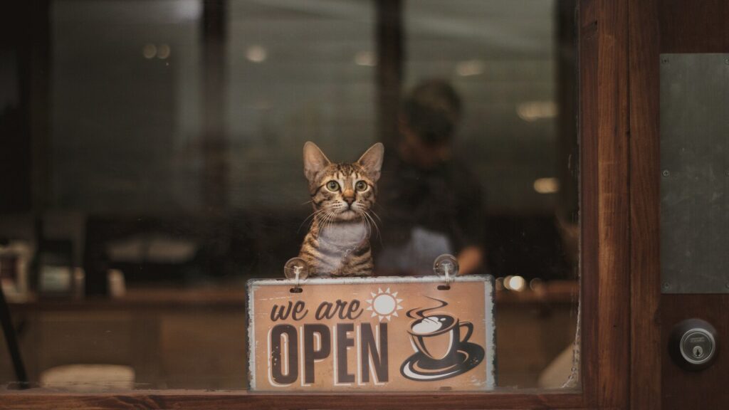 Pet-friendly Restaurant Singapore: Cosy brunch spot for pet parents and their pets