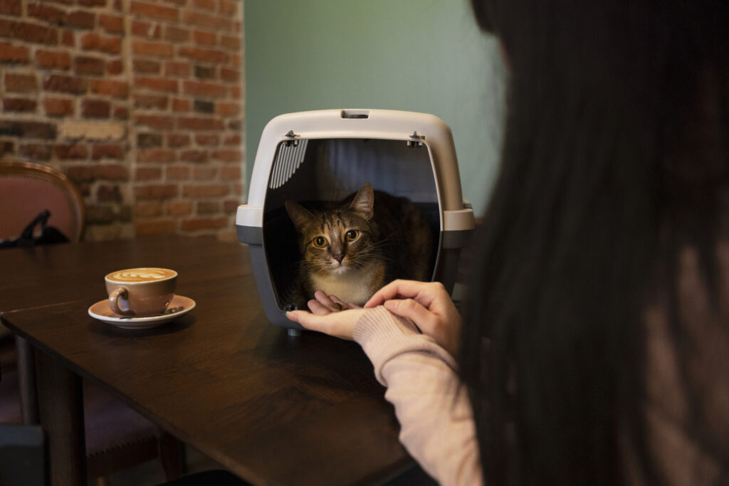 Pet-friendly Restaurant Singapore: Furry friends joining brunch at a cosy café terrace