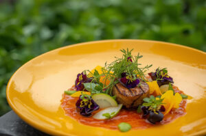 Close-up of a beautifully plated gourmet dish on a bright yellow plate, featuring a seared meat or vegetable with microgreens, edible flowers, and a red sauce.