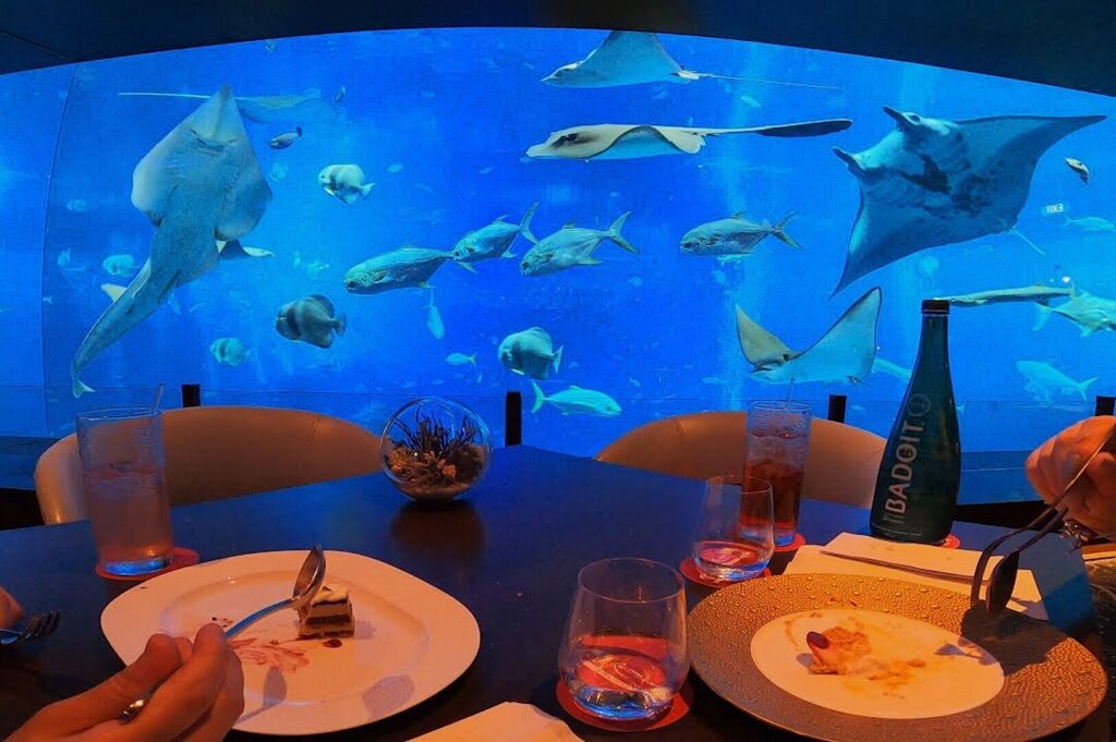 Two people seated at a table, with a vibrant fish tank behind them in a Singapore ocean restaurant.