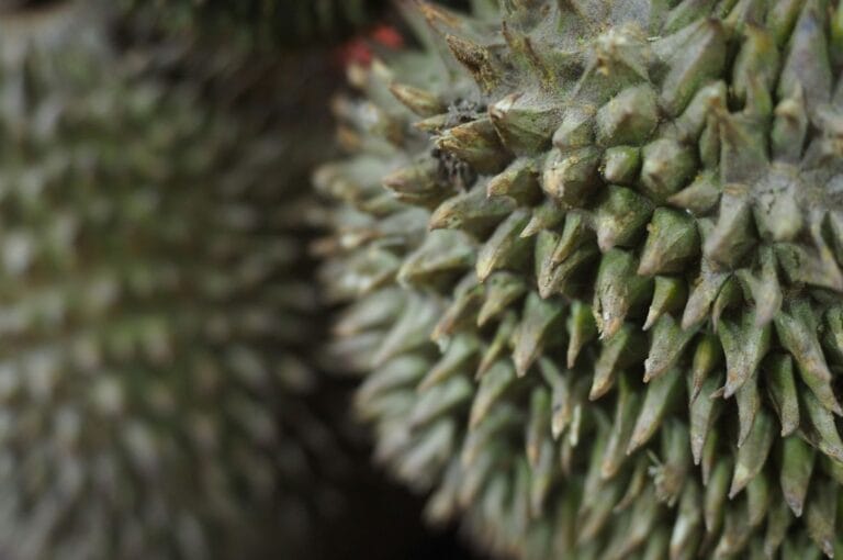 Close-up of a durian, focusing on its sharp, spiky green surface. The spikes create a textured pattern, giving a bold and intense visual impact.