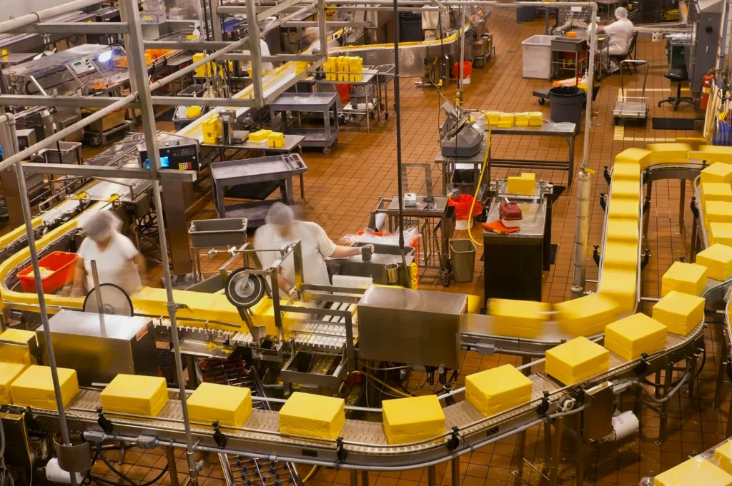 Factory with workers in white uniforms and hairnets, assembling large yellow cheese blocks on a conveyor belt. Busy, industrial atmosphere.
