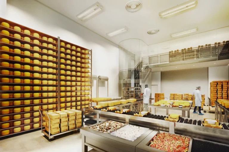 A modern cheese factory with shelves filled with wheels of cheese. Two workers in white coats and hats, examining cheese under bright lighting.