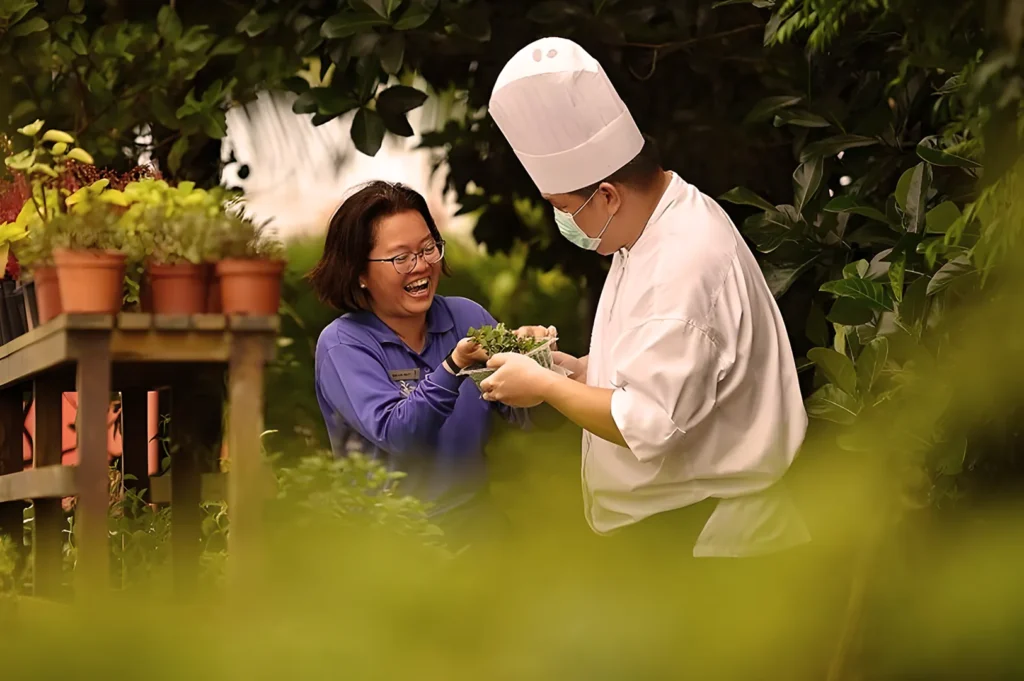 A smiling woman hands fresh herbs to a chef in a white coat and hat. They stand in a lush garden, conveying a sense of joy and collaboration.