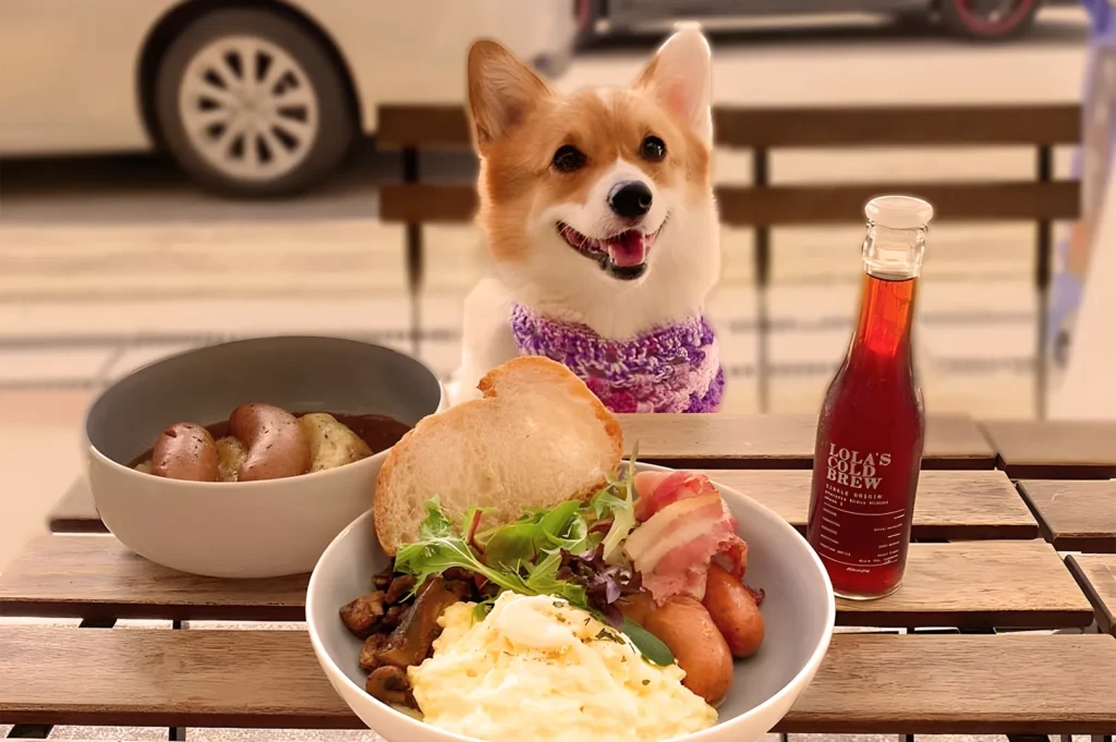 A happy dog sits at a wooden table with a breakfast spread, including scrambled eggs, sausages, toast, salad, potatoes, and a bottle of cold brew.