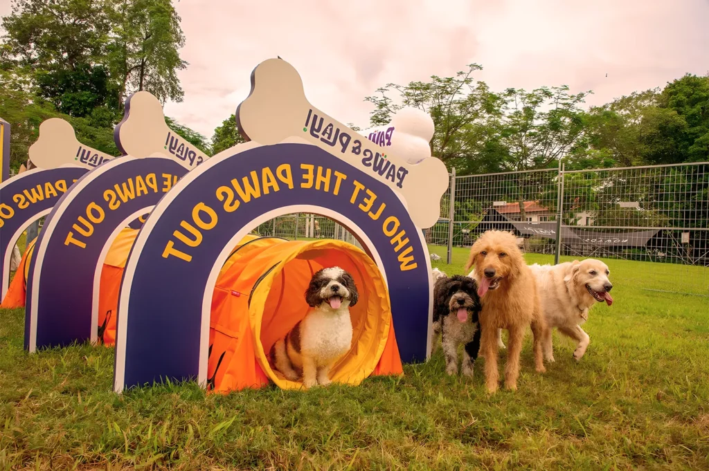 Four dogs gather excitedly outside colorful tunnels in a park. The arches above read "WHO LET THE PAWS OUT." The scene is lively and playful.